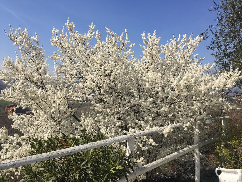 Penzion Relais Il Pigno Affi Exteriér fotografie